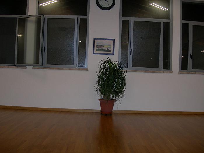 DSCN0392